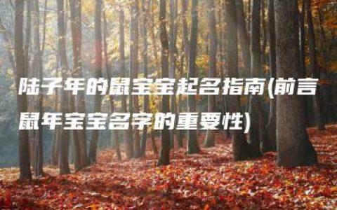 陆子年的鼠宝宝起名指南(前言鼠年宝宝名字的重要性)