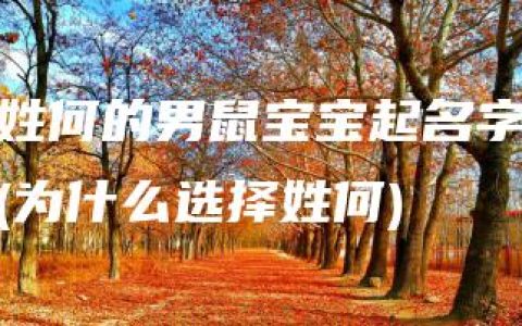 姓何的男鼠宝宝起名字(为什么选择姓何)