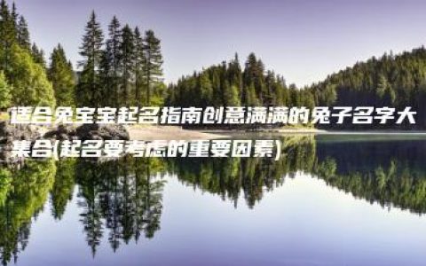 适合兔宝宝起名指南创意满满的兔子名字大集合(起名要考虑的重要因素)