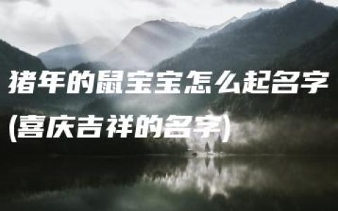 猪年的鼠宝宝怎么起名字(喜庆吉祥的名字)