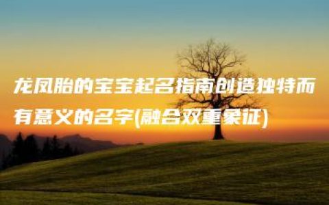 龙凤胎的宝宝起名指南创造独特而有意义的名字(融合双重象征)