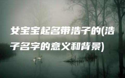 女宝宝起名带浩子的(浩子名字的意义和背景)