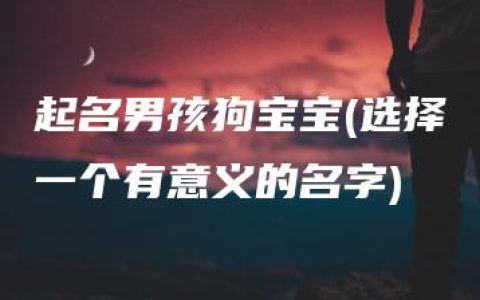 起名男孩狗宝宝(选择一个有意义的名字)