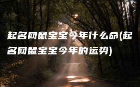 起名网鼠宝宝今年什么命(起名网鼠宝宝今年的运势)