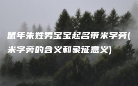 鼠年朱姓男宝宝起名带米字旁(米字旁的含义和象征意义)