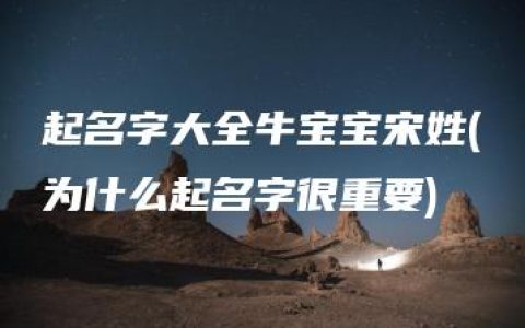 起名字大全牛宝宝宋姓(为什么起名字很重要)