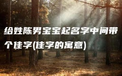 给姓陈男宝宝起名字中间带个佳字(佳字的寓意)