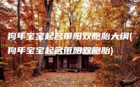 狗年宝宝起名带阳双胞胎大纲(狗年宝宝起名带阳双胞胎)