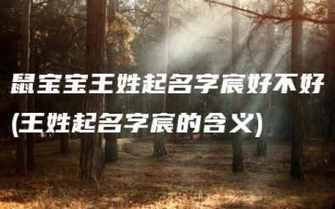 鼠宝宝王姓起名字宸好不好(王姓起名字宸的含义)