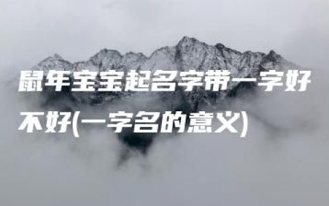 鼠年宝宝起名字带一字好不好(一字名的意义)