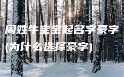 周姓牛宝宝起名字豪字(为什么选择豪字)