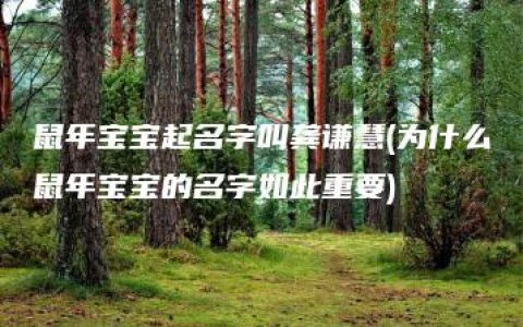 鼠年宝宝起名字叫龚谦慧(为什么鼠年宝宝的名字如此重要)