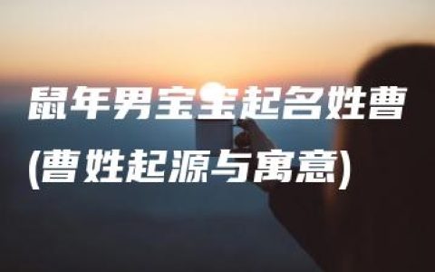 鼠年男宝宝起名姓曹(曹姓起源与寓意)