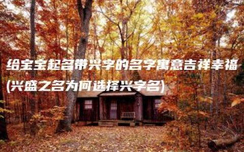 给宝宝起名带兴字的名字寓意吉祥幸福(兴盛之名为何选择兴字名)