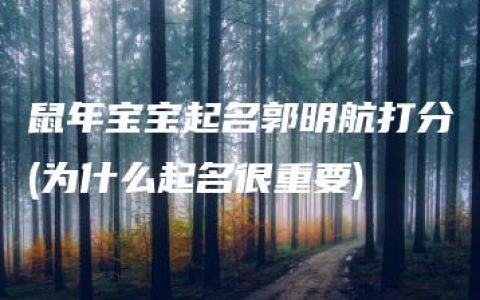 鼠年宝宝起名郭明航打分(为什么起名很重要)