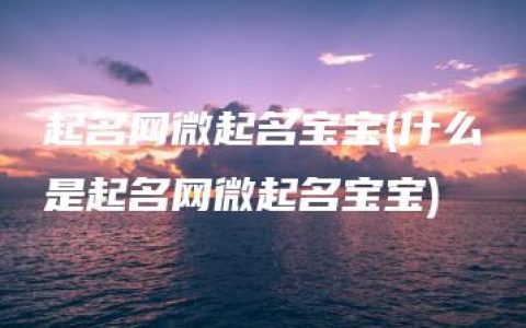 起名网微起名宝宝(什么是起名网微起名宝宝)