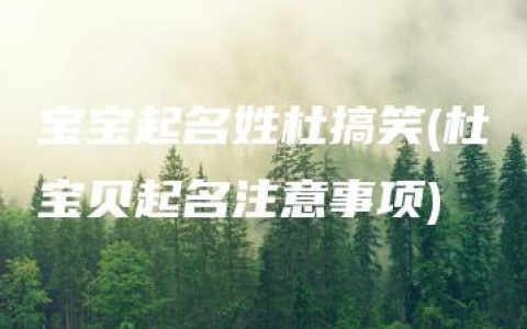 宝宝起名姓杜搞笑(杜宝贝起名注意事项)