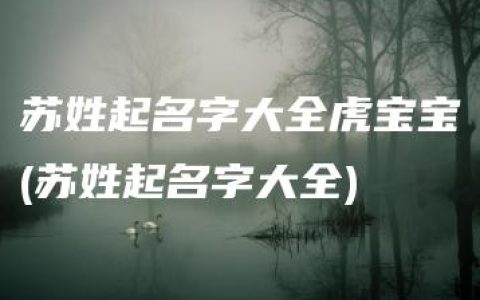 苏姓起名字大全虎宝宝(苏姓起名字大全)