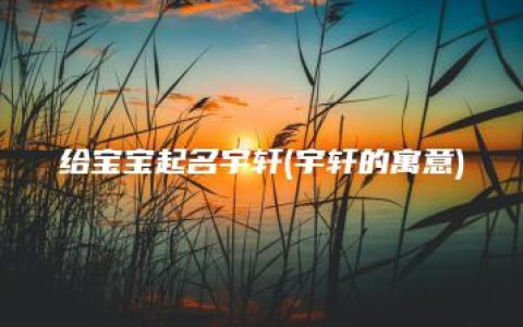 给宝宝起名宇轩(宇轩的寓意)