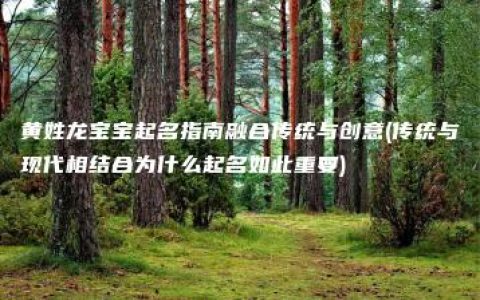 黄姓龙宝宝起名指南融合传统与创意(传统与现代相结合为什么起名如此重要)