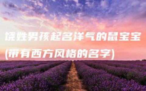 饶姓男孩起名洋气的鼠宝宝(带有西方风格的名字)