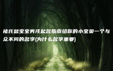 褚氏鼠宝宝男孩起名指南给你的小宝贝一个与众不同的名字(为什么名字重要)