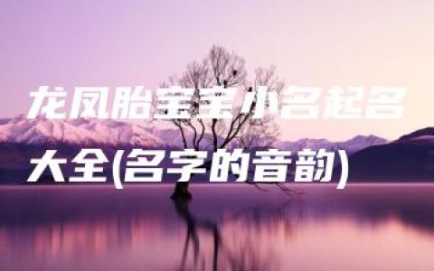 龙凤胎宝宝小名起名大全(名字的音韵)