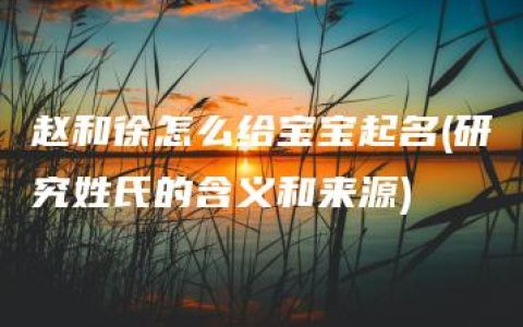 赵和徐怎么给宝宝起名(研究姓氏的含义和来源)