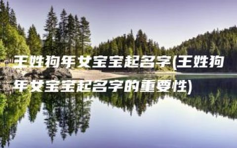 王姓狗年女宝宝起名字(王姓狗年女宝宝起名字的重要性)