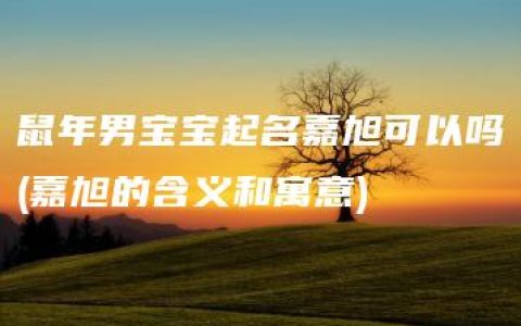 鼠年男宝宝起名嘉旭可以吗(嘉旭的含义和寓意)