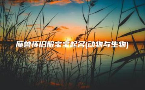 魔兽怀旧服宝宝起名(动物与生物)