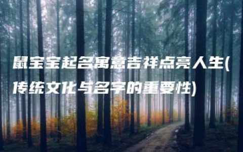 鼠宝宝起名寓意吉祥点亮人生(传统文化与名字的重要性)