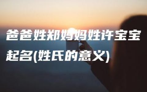 爸爸姓郑妈妈姓许宝宝起名(姓氏的意义)