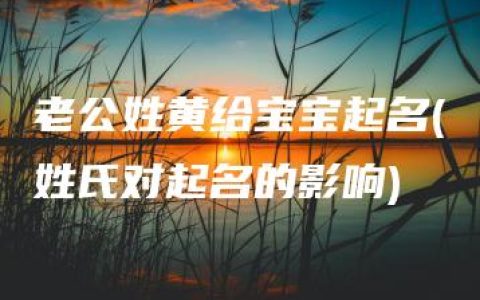 老公姓黄给宝宝起名(姓氏对起名的影响)