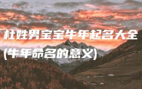 杜姓男宝宝牛年起名大全(牛年命名的意义)