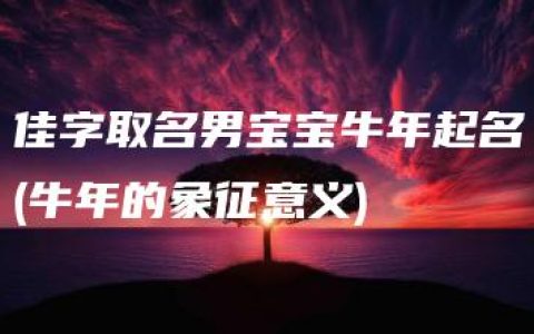 佳字取名男宝宝牛年起名(牛年的象征意义)