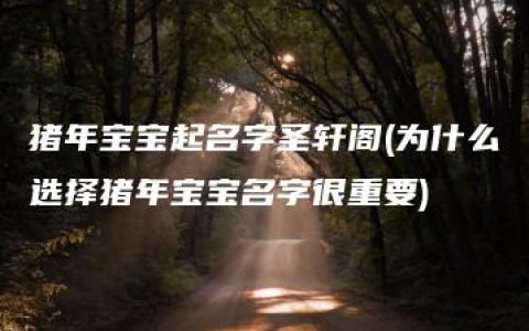 猪年宝宝起名字圣轩阁(为什么选择猪年宝宝名字很重要)