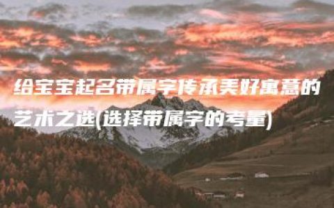 给宝宝起名带属字传承美好寓意的艺术之选(选择带属字的考量)