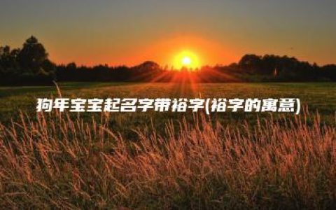 狗年宝宝起名字带裕字(裕字的寓意)