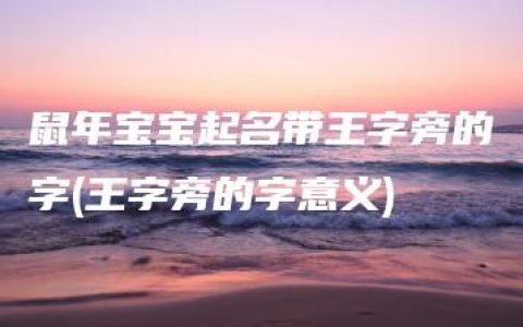 鼠年宝宝起名带王字旁的字(王字旁的字意义)