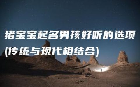 猪宝宝起名男孩好听的选项(传统与现代相结合)