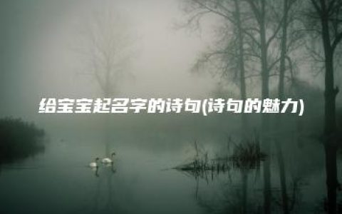 给宝宝起名字的诗句(诗句的魅力)