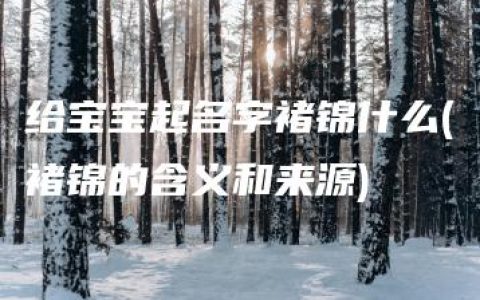 给宝宝起名字褚锦什么(褚锦的含义和来源)