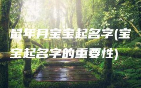 鼠年月宝宝起名字(宝宝起名字的重要性)