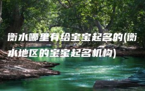 衡水哪里有给宝宝起名的(衡水地区的宝宝起名机构)