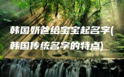 韩国奶爸给宝宝起名字(韩国传统名字的特点)