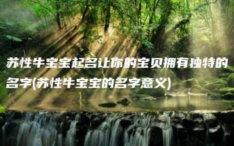 苏性牛宝宝起名让你的宝贝拥有独特的名字(苏性牛宝宝的名字意义)