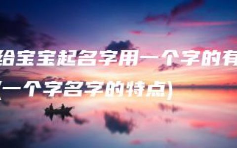 给宝宝起名字用一个字的有(一个字名字的特点)