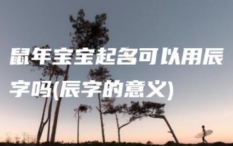 鼠年宝宝起名可以用辰字吗(辰字的意义)