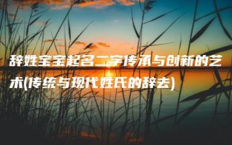 辞姓宝宝起名二字传承与创新的艺术(传统与现代姓氏的辞去)